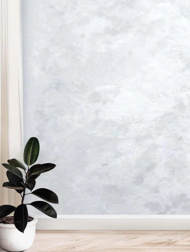 06_Veneziano Naturale argento.jpg 06_Veneziano Naturale argento.jpg